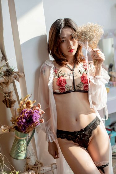 动漫足控