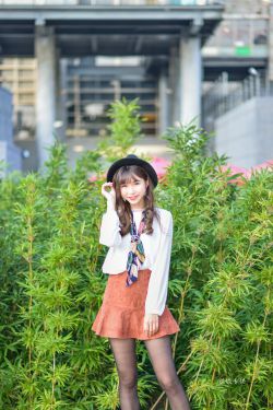 免费开放的api大全软件